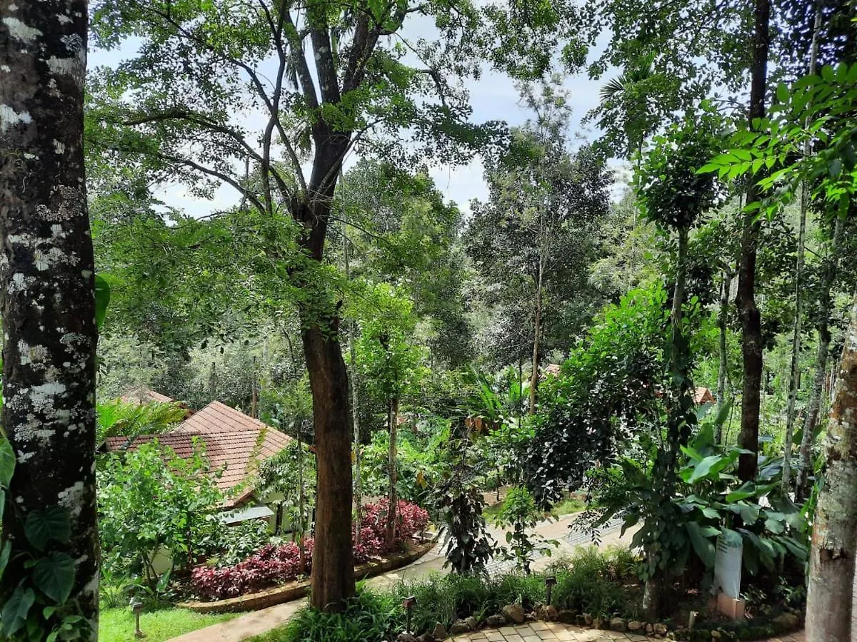 Willow Resorts Ambalavayal