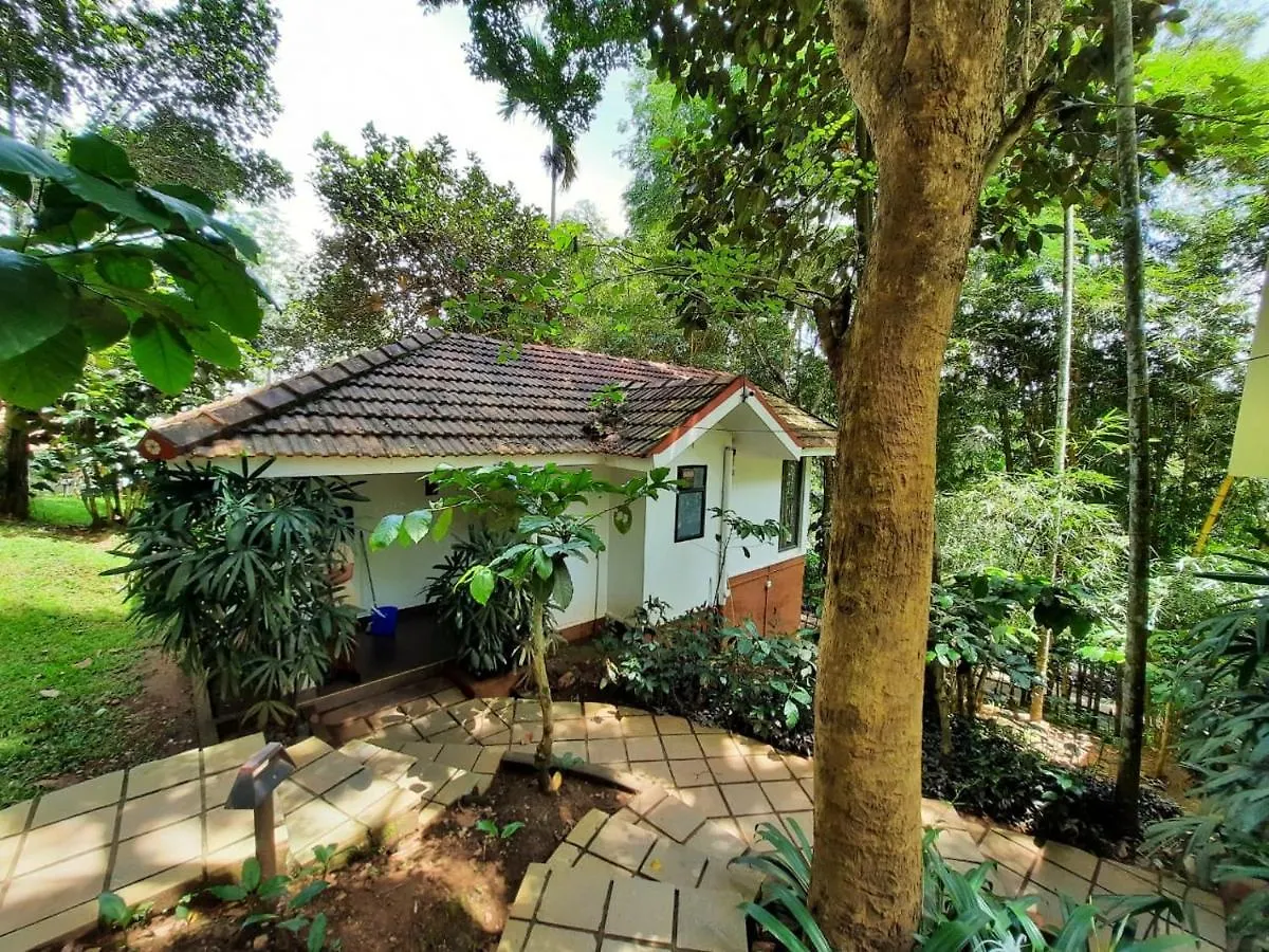 ***  Willow Resorts Ambalavayal India