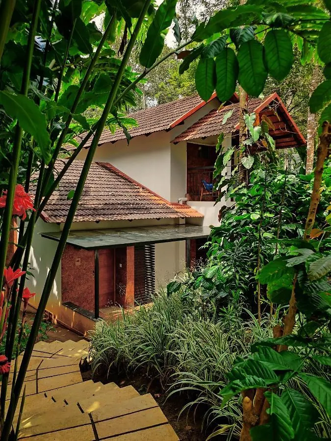 Willow Resorts Ambalavayal India