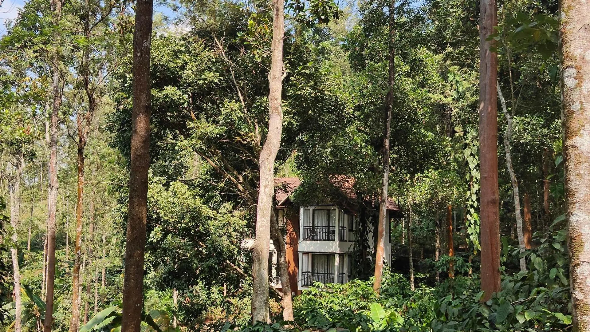 Willow Resorts Ambalavayal