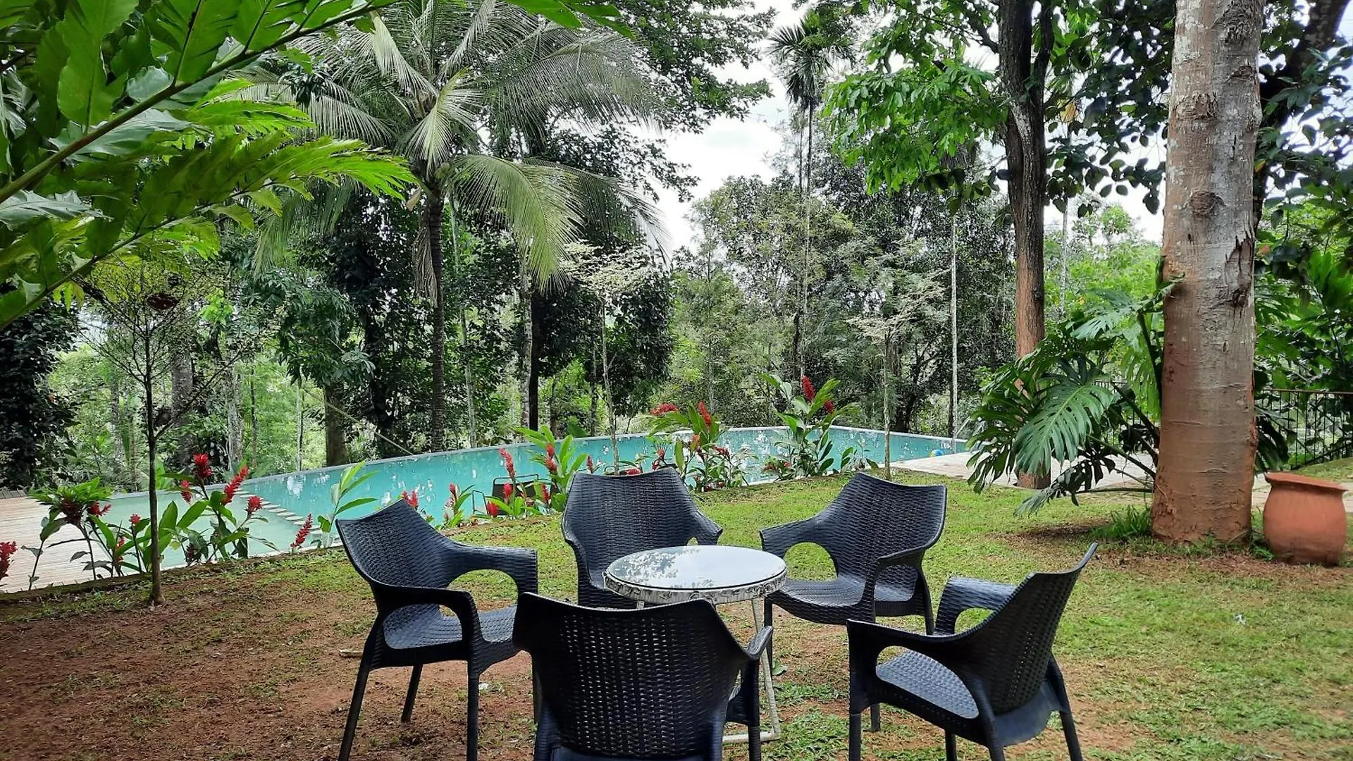 ***  Willow Resorts Ambalavayal India