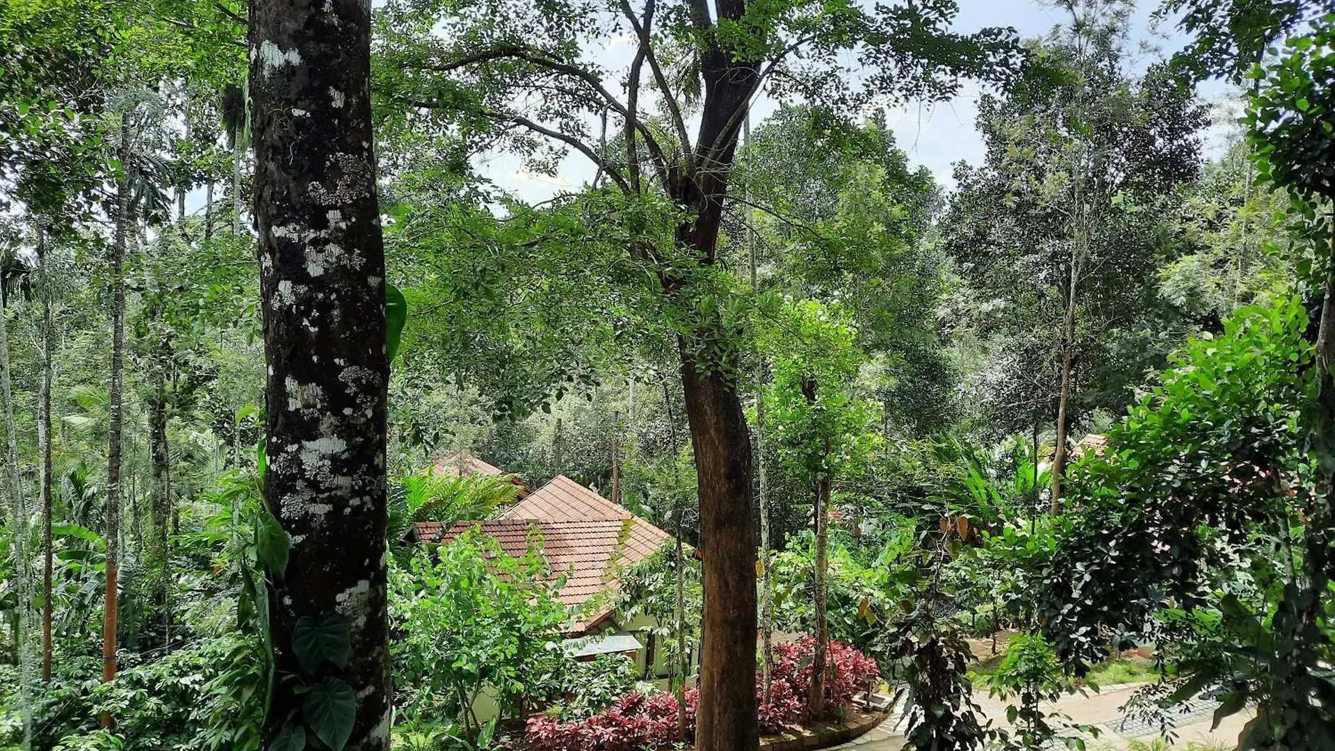 Willow Resorts Ambalavayal