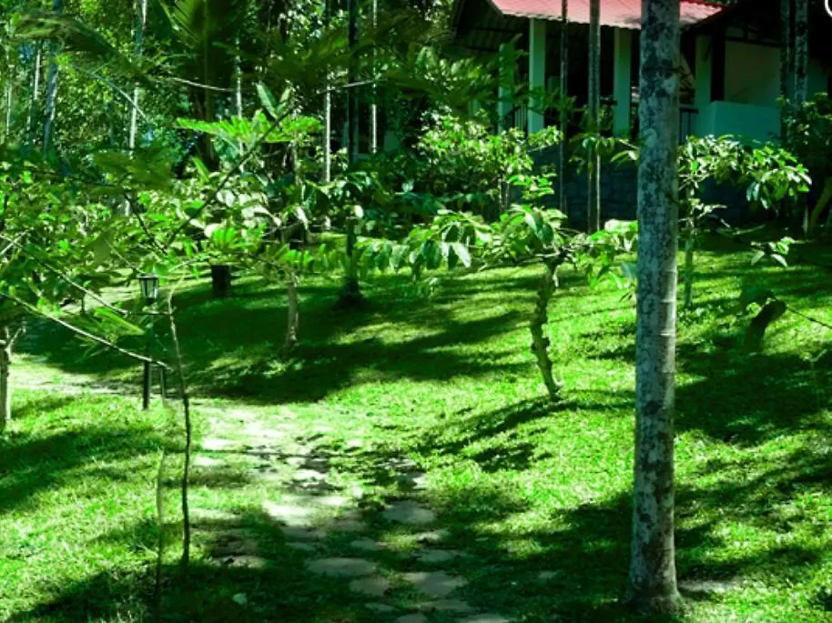 Willow Resorts Ambalavayal